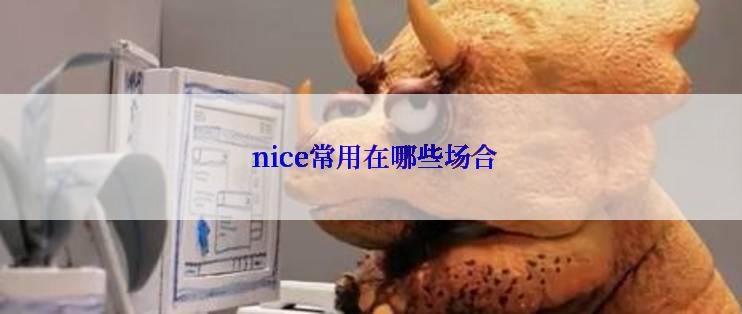  nice常用在哪些场合