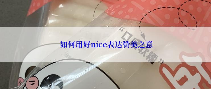  如何用好nice表达赞美之意