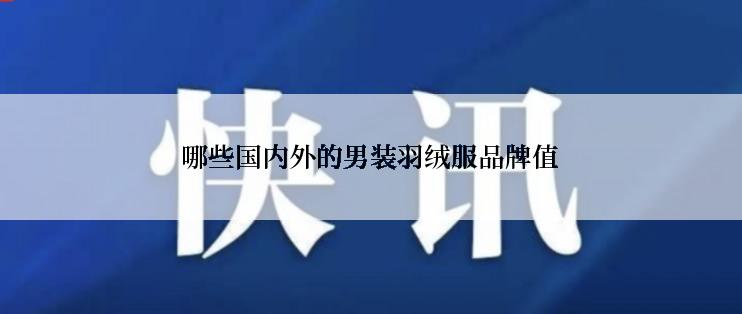 哪些国内外的男装羽绒服品牌值