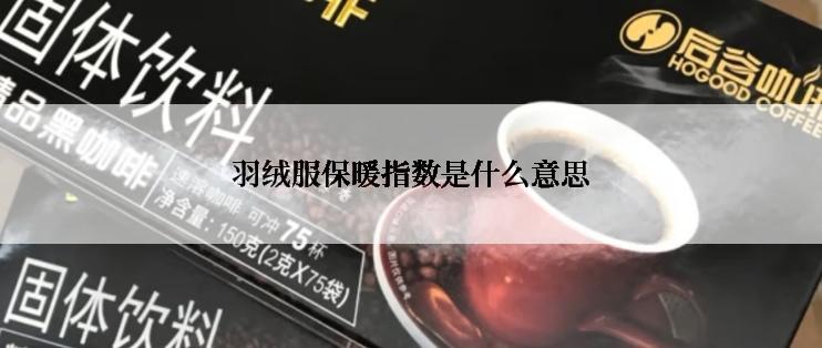 羽绒服保暖指数是什么意思