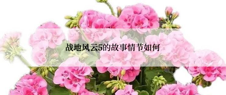 战地风云5的故事情节如何