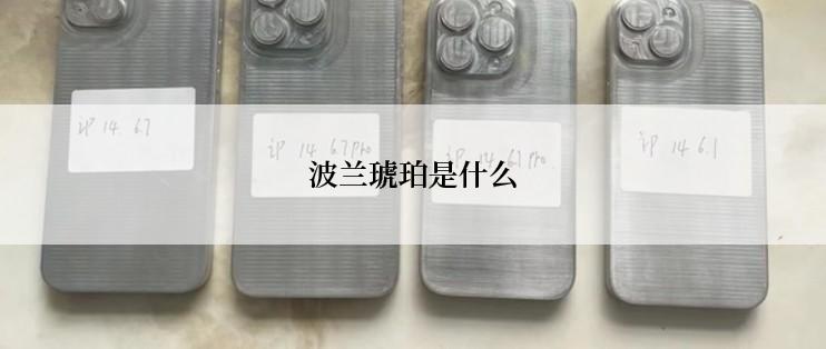 波兰琥珀是什么