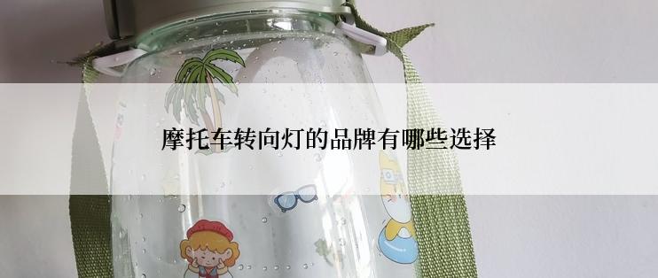 摩托车转向灯的品牌有哪些选择