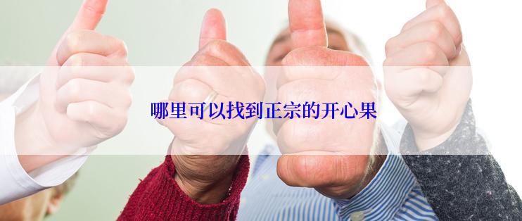  哪里可以找到正宗的开心果