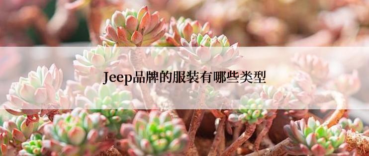 Jeep品牌的服装有哪些类型