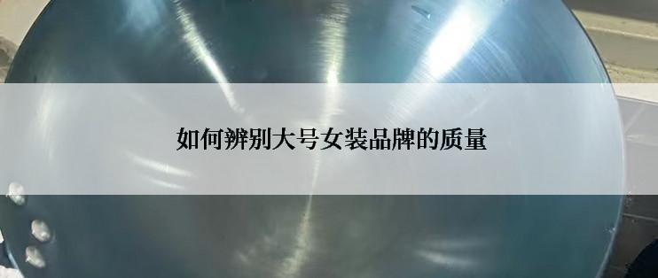  如何辨别大号女装品牌的质量