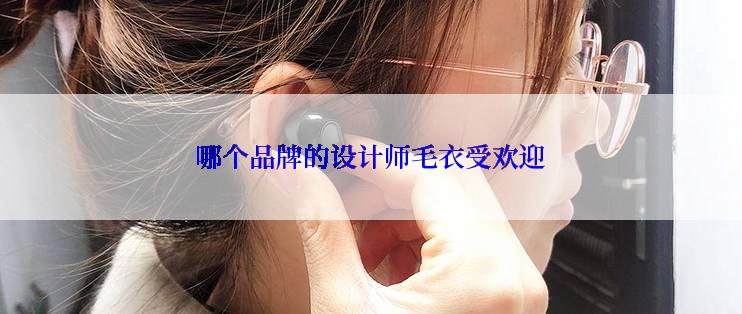 哪个品牌的设计师毛衣受欢迎