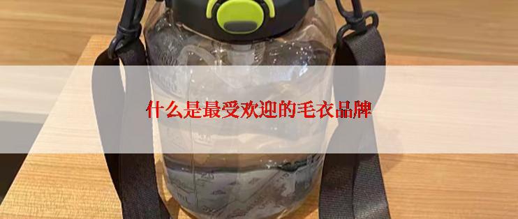 什么是最受欢迎的毛衣品牌