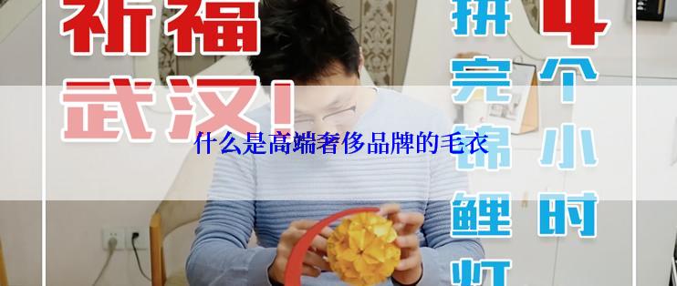  什么是高端奢侈品牌的毛衣