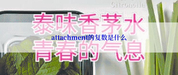 attachment的复数是什么