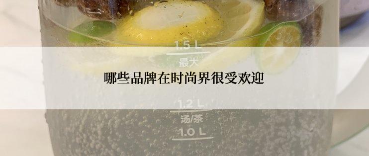 哪些品牌在时尚界很受欢迎