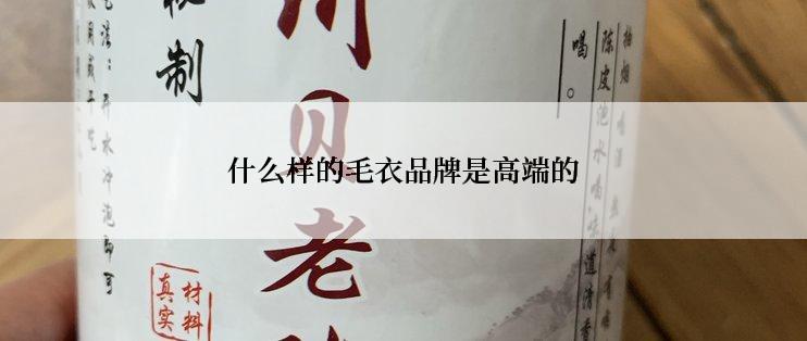 什么样的毛衣品牌是高端的