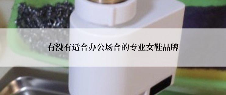 有没有适合办公场合的专业女鞋品牌