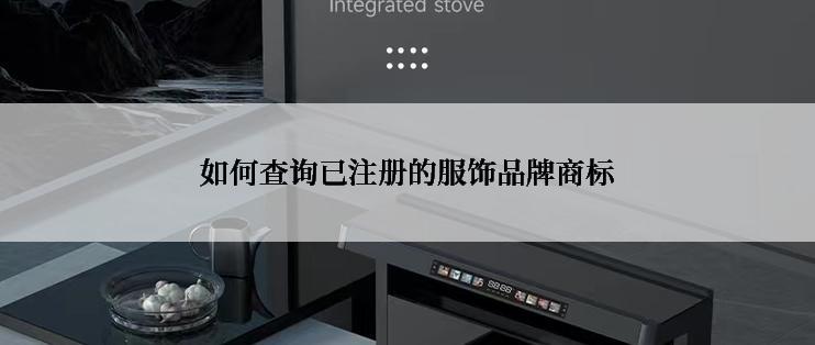 如何查询已注册的服饰品牌商标