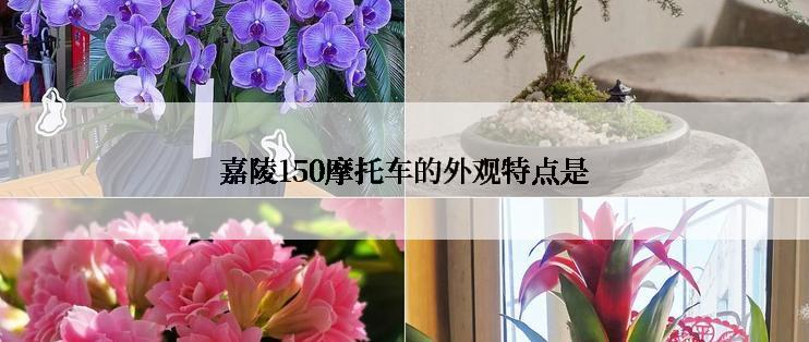 嘉陵150摩托车的外观特点是