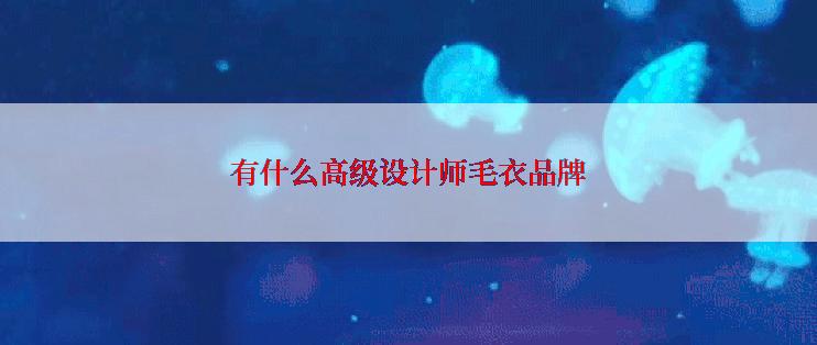 有什么高级设计师毛衣品牌