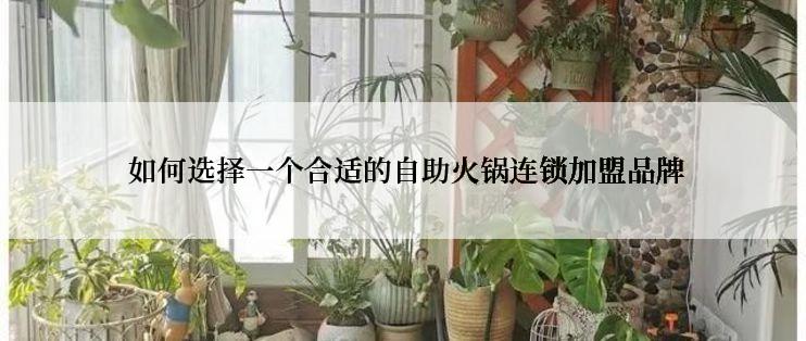  如何选择一个合适的自助火锅连锁加盟品牌