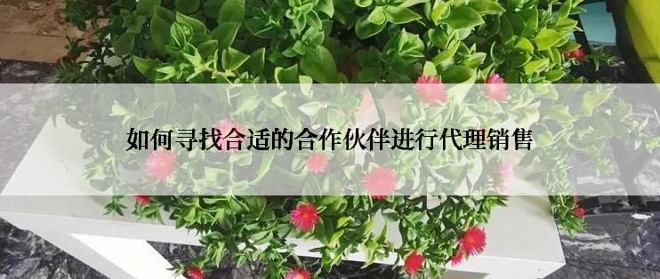 如何寻找合适的合作伙伴进行代理销售