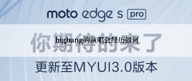  bigbang的演唱会经历如何