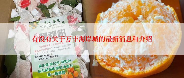 有没有关于万丰海岸城的最新消息和介绍