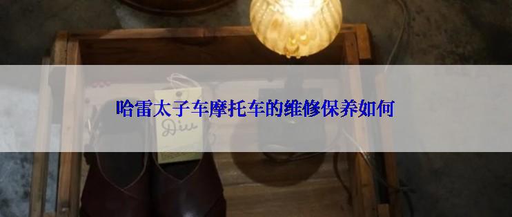 哈雷太子车摩托车的维修保养如何