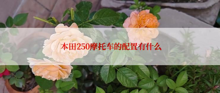  本田250摩托车的配置有什么