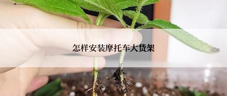 怎样安装摩托车大货架