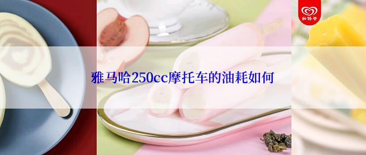 雅马哈250cc摩托车的油耗如何