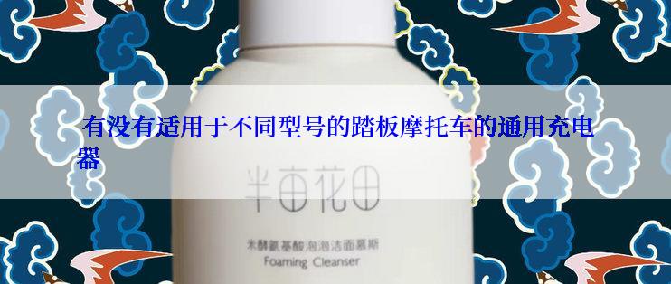  有没有适用于不同型号的踏板摩托车的通用充电器