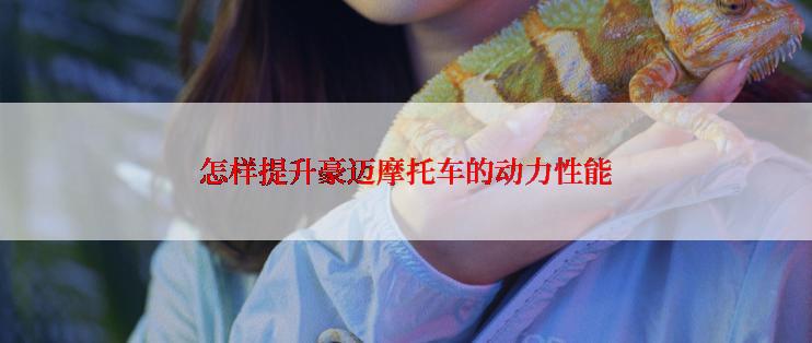 怎样提升豪迈摩托车的动力性能