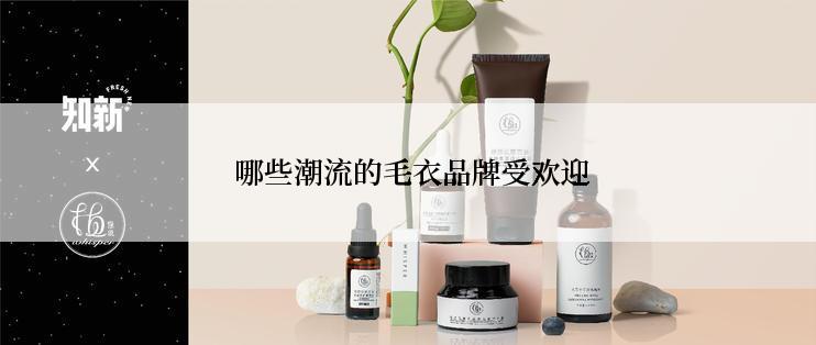  哪些潮流的毛衣品牌受欢迎