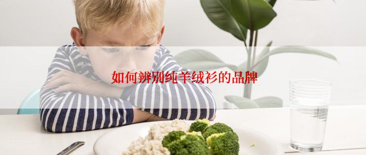  如何辨别纯羊绒衫的品牌