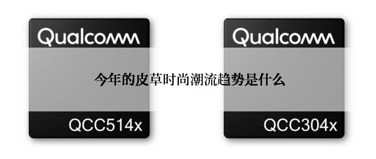  今年的皮草时尚潮流趋势是什么