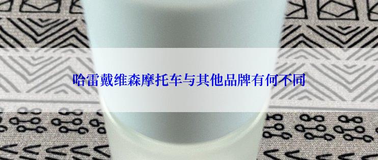 哈雷戴维森摩托车与其他品牌有何不同