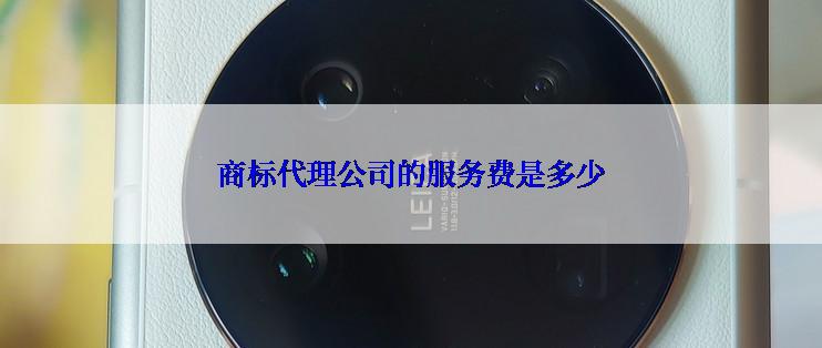 商标代理公司的服务费是多少