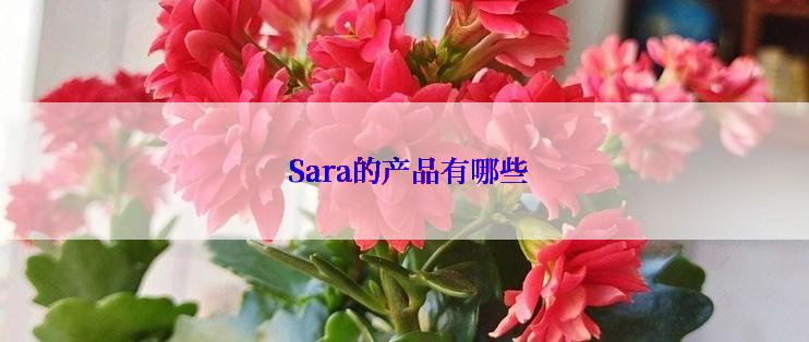  Sara的产品有哪些