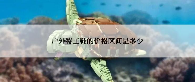 户外特工鞋的价格区间是多少