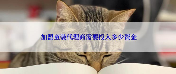  加盟童装代理商需要投入多少资金