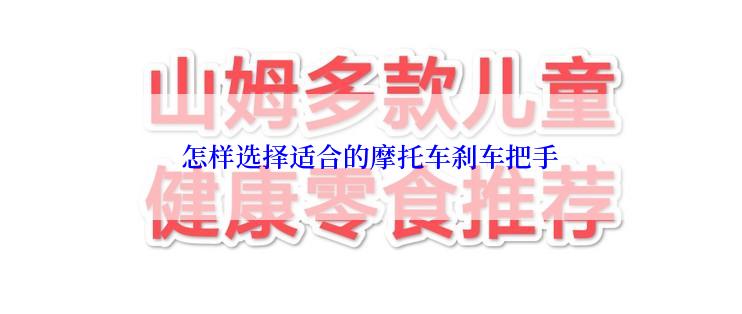 怎样选择适合的摩托车刹车把手