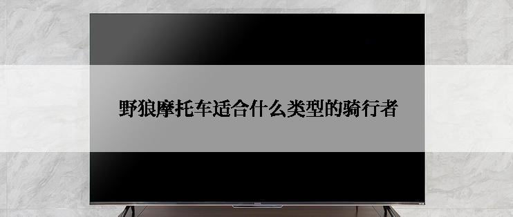  野狼摩托车适合什么类型的骑行者