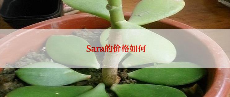  Sara的价格如何