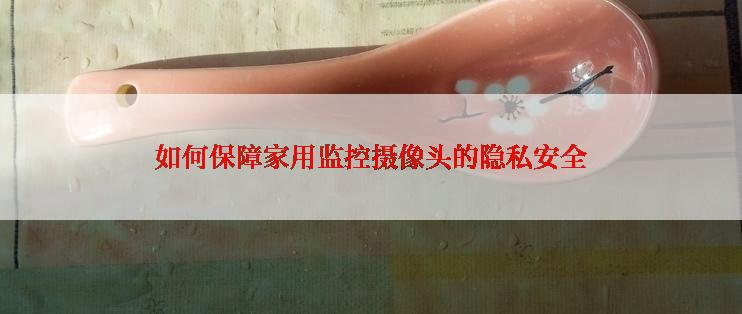 如何保障家用监控摄像头的隐私安全