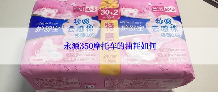  永源350摩托车的油耗如何