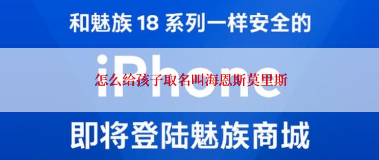  怎么给孩子取名叫海恩斯莫里斯