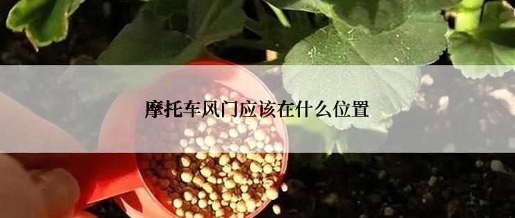 摩托车风门应该在什么位置