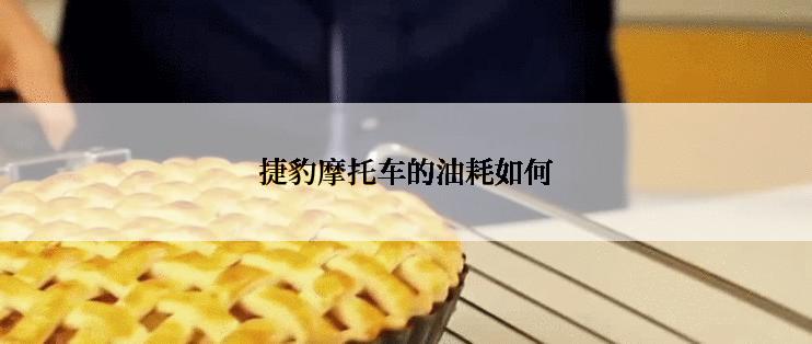 捷豹摩托车的油耗如何