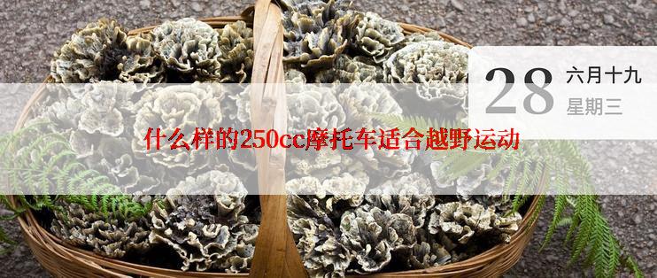  什么样的250cc摩托车适合越野运动