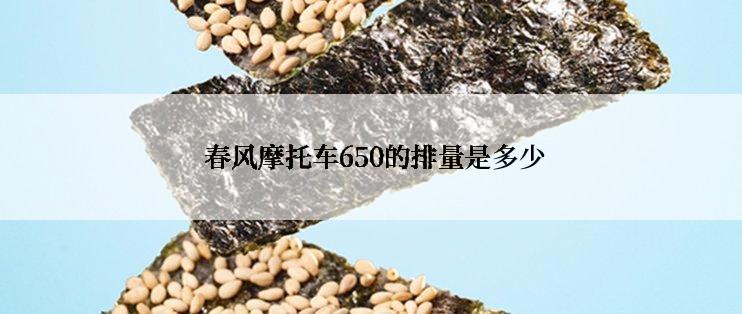  春风摩托车650的排量是多少