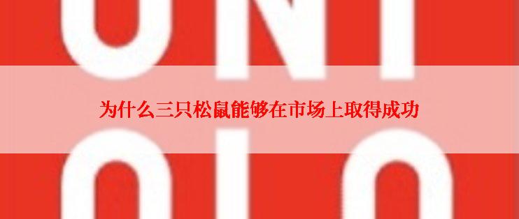 为什么三只松鼠能够在市场上取得成功