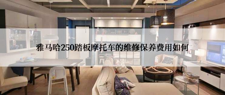 雅马哈250踏板摩托车的维修保养费用如何